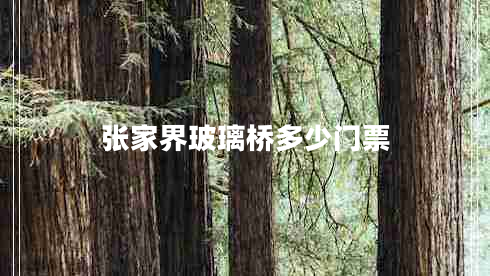 张家界玻璃桥多少门票