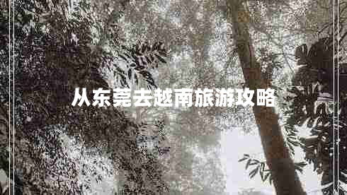 从东莞去越南旅游攻略