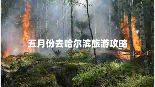五月份去哈尔滨旅游攻略 五月份去哈尔滨旅游攻略