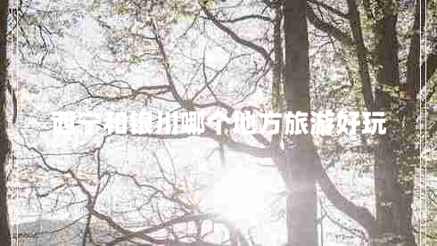 西宁和银川哪个地方旅游好玩