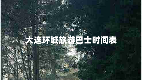 大连环城旅游巴士时间表