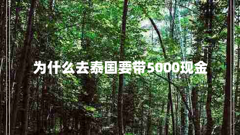 为什么去泰国要带5000现金