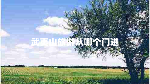 武夷山旅游从哪个门进