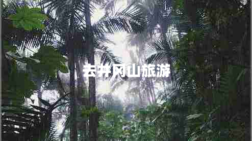 去井冈山旅游 去井冈山旅游