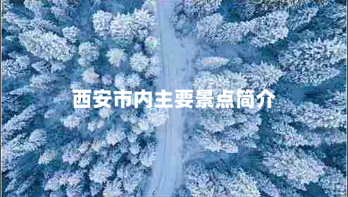 西安市内主要景点简介