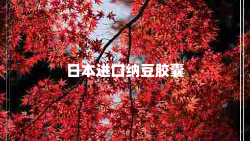 日本进口纳豆胶囊