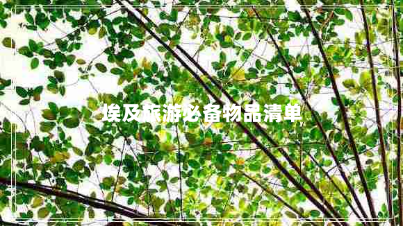 埃及旅游必备物品清单