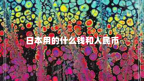 日本用的什么钱和人民币