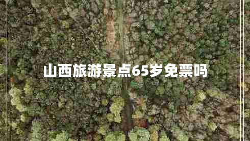 山西旅游景点65岁免票吗