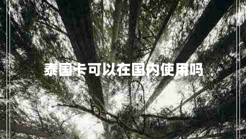 泰国卡可以在国内使用吗