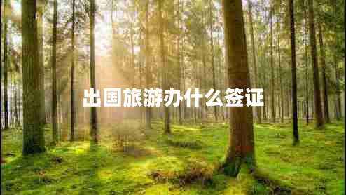 出国旅游办什么签证