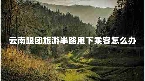 云南跟团旅游半路甩下乘客怎么办