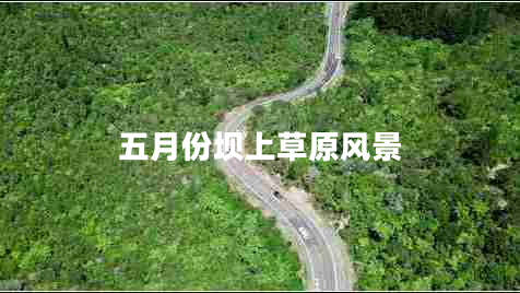 五月份坝上草原风景