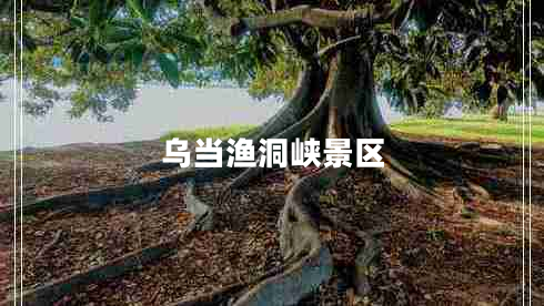 乌当渔洞峡景区 乌当渔洞峡景区