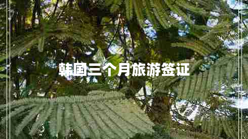 韩国三个月旅游签证