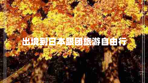 出境到日本跟团旅游自由行