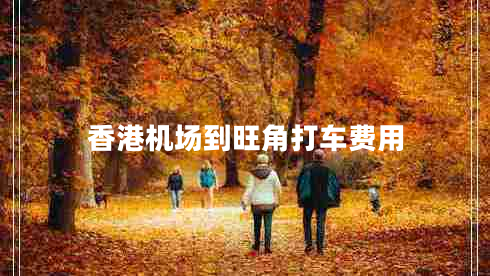 香港机场到旺角打车费用