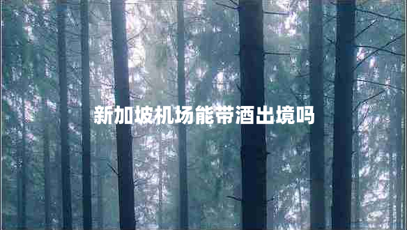 新加坡机场能带酒出境吗