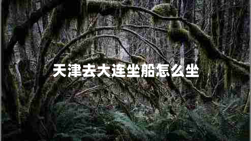 天津去大连坐船怎么坐