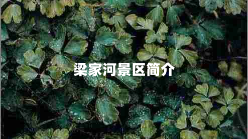 梁家河景区简介