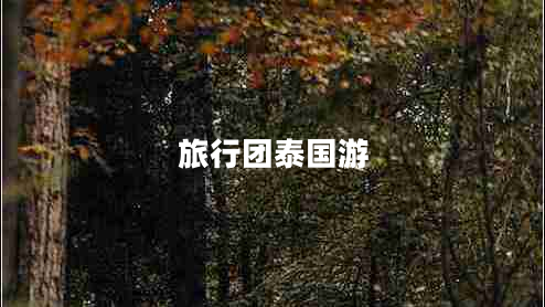旅行团泰国游