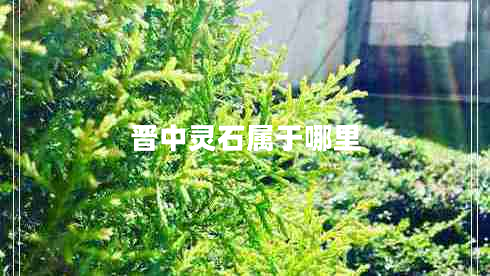 晋中灵石属于哪里