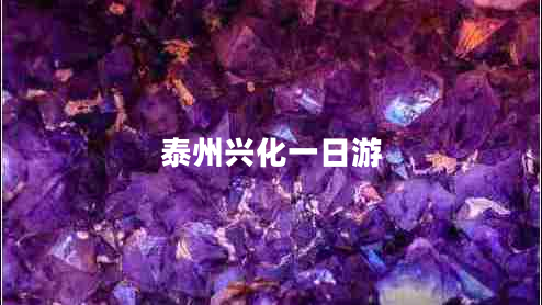 泰州兴化一日游