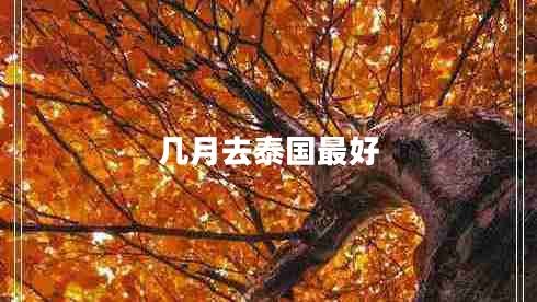 几月去泰国最好