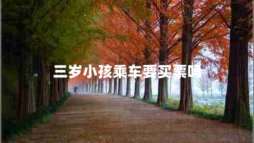 三岁小孩乘车要买票吗