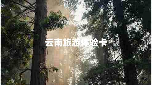 云南旅游体验卡