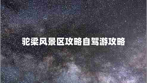 驼梁风景区攻略自驾游攻略