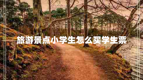 旅游景点小学生怎么买学生票 旅游景点小学生怎么买学生票