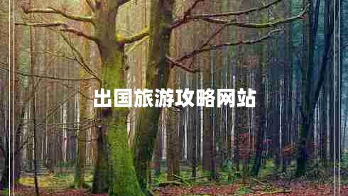 出国旅游攻略网站
