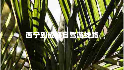 西宁到成都自驾游线路 西宁到成都自驾游线路