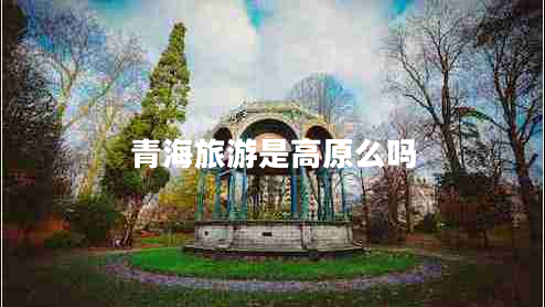 青海旅游是高原么吗
