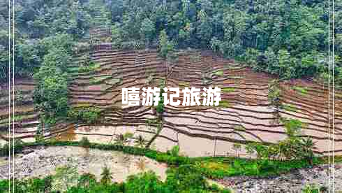 嘻游记旅游