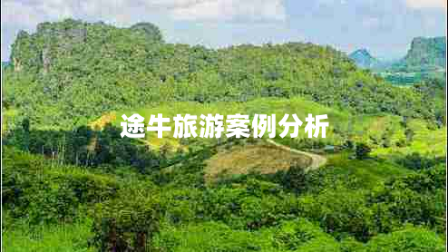 途牛旅游案例分析