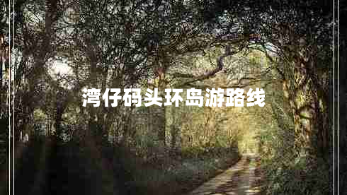 湾仔码头环岛游路线