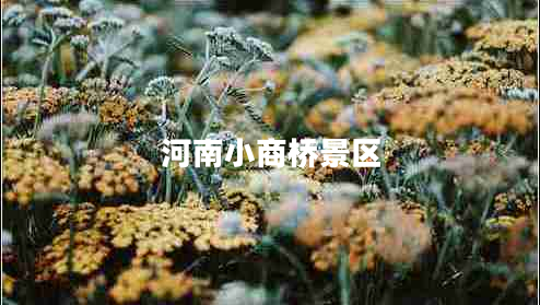 河南小商桥景区