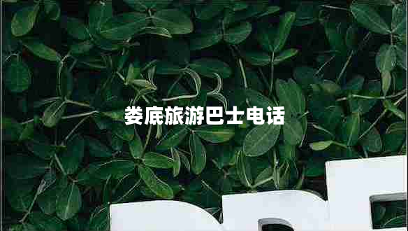 娄底旅游巴士电话