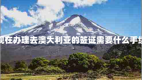 现在办理去澳大利亚的签证需要什么手续 现在办理去澳大利亚的签证需要什么手续