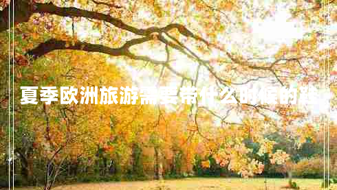 夏季欧洲旅游需要带什么时候的鞋