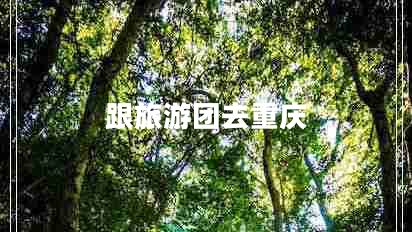 跟旅游团去重庆