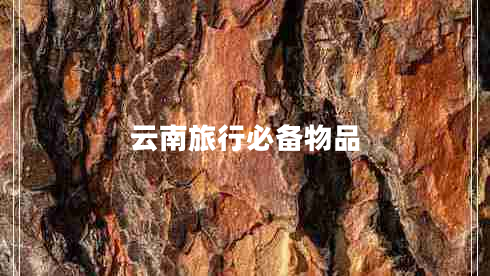 云南旅行必备物品