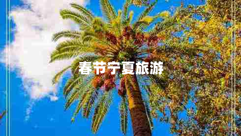 春节宁夏旅游