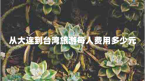 从大连到台湾旅游每人费用多少元