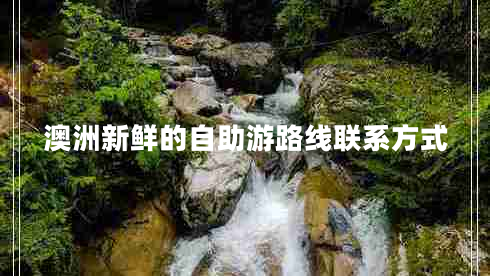 澳洲新鲜的自助游路线联系方式