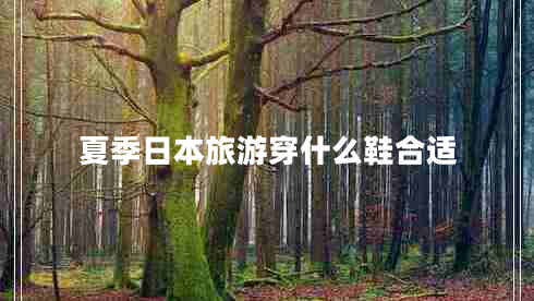 夏季日本旅游穿什么鞋合适