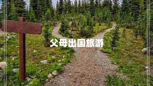 父母出国旅游
