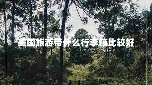 美国旅游带什么行李箱比较好